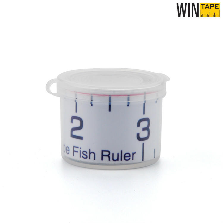 Adhesive Fish Ruler In Stock